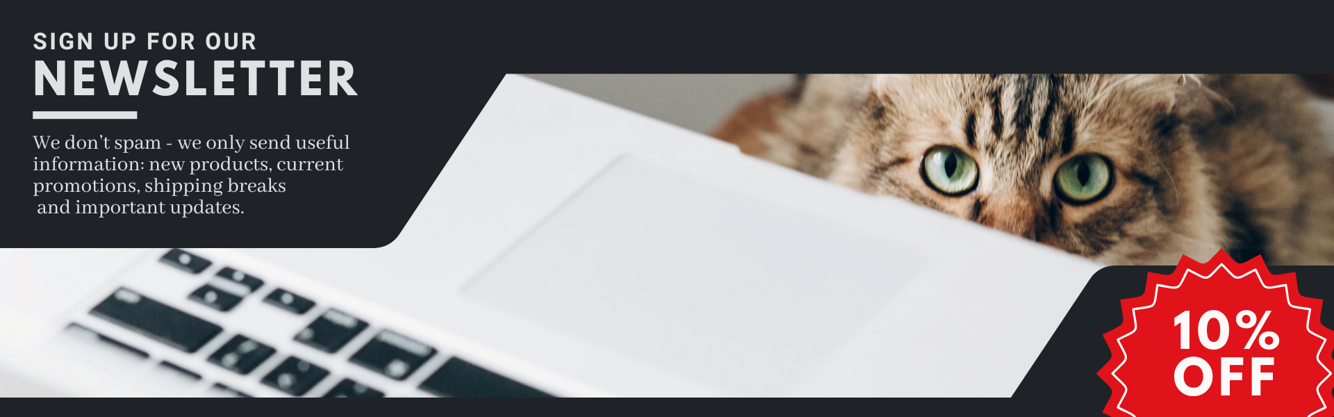  newsletter_baner_ENG