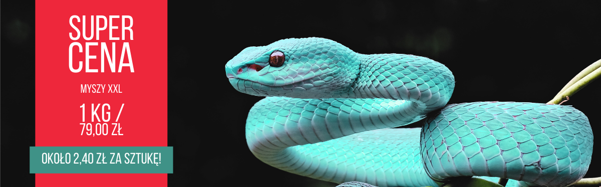 Promo myszy xxl kg