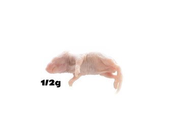 1/2g suckling mice PACK of 100pcs