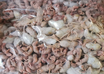 Mice 1-9g (S) 1kg (grade B)