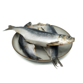 IQF-Hering - 1 kg