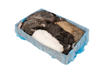 Rabbit M 1,3 - 1,8kg (1 piece)