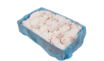 Kaninchen XS 300-500g