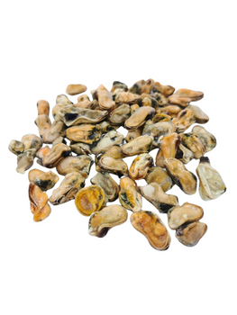 Clams (meat) IQF - 1 kg