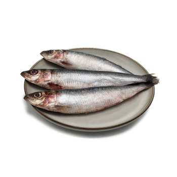 IQF-Sardinen - 1 kg