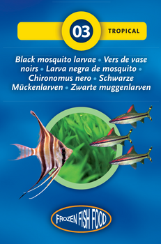 Gefrorene schwarze Mückenlarven