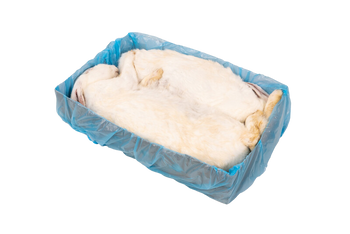 Królik 3,5-4 kg (1 sztuka)