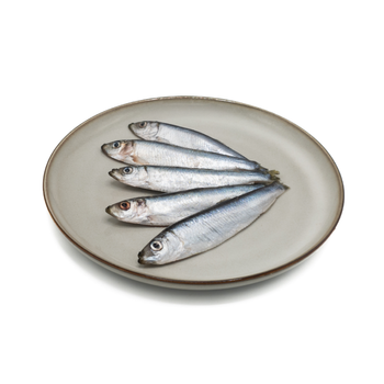 IQF sprats - 1 kg