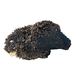 KB BARF - Cow rumen 3kg