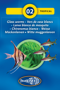 Glass Worms (White Mosquito Larvae)